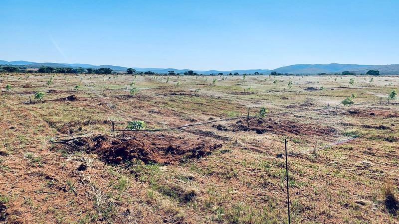 5 Bedroom Property for Sale in Bela Bela Limpopo
