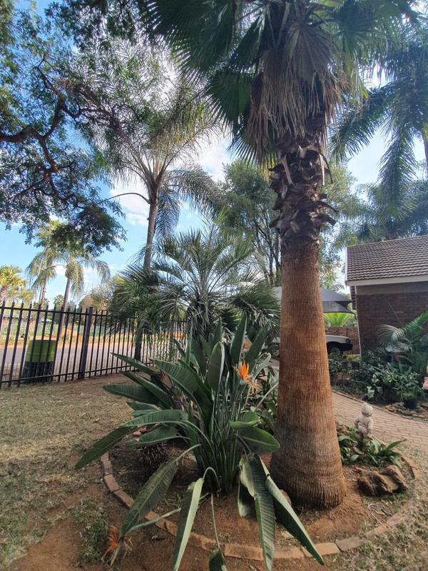 4 Bedroom Property for Sale in Chroompark Limpopo