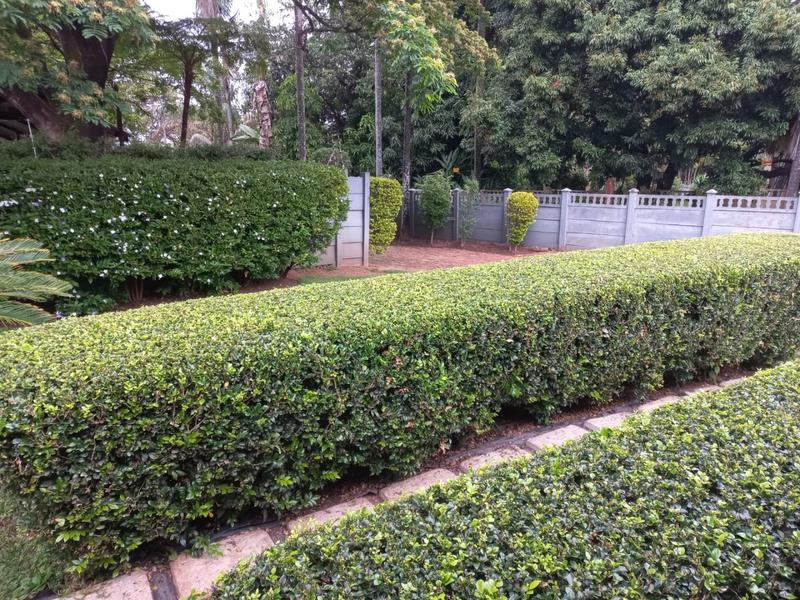 3 Bedroom Property for Sale in Fauna Park Limpopo