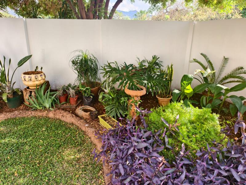 3 Bedroom Property for Sale in Thabazimbi Limpopo