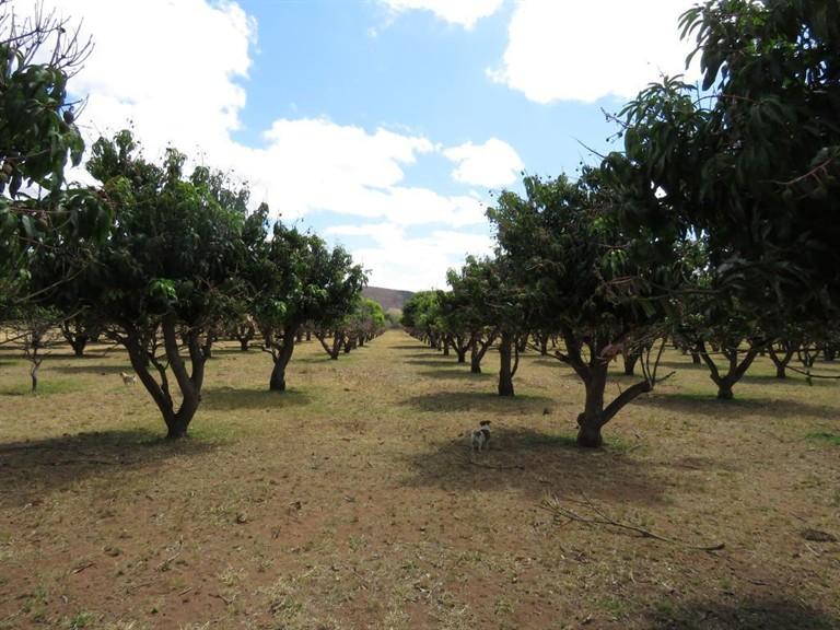 0 Bedroom Property for Sale in Lephalale Limpopo