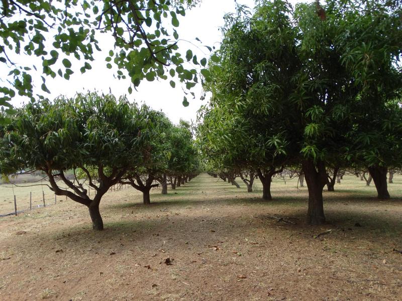 0 Bedroom Property for Sale in Lephalale Limpopo