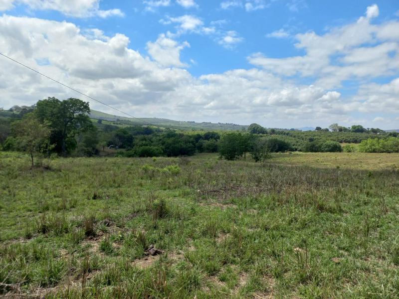 2 Bedroom Property for Sale in Tzaneen Rural Limpopo