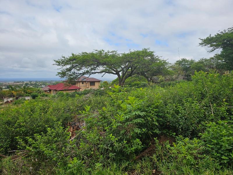 0 Bedroom Property for Sale in Louis Trichardt Limpopo