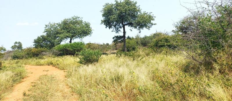 0 Bedroom Property for Sale in Baltimore Limpopo