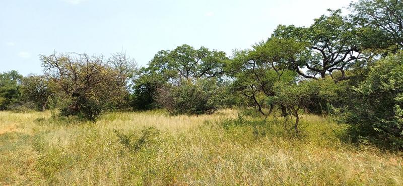 0 Bedroom Property for Sale in Baltimore Limpopo