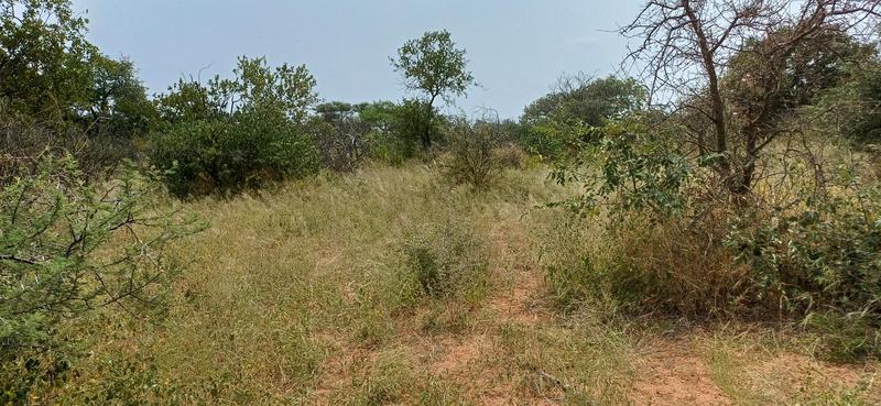 0 Bedroom Property for Sale in Baltimore Limpopo