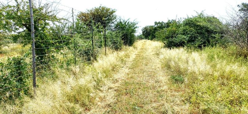 0 Bedroom Property for Sale in Baltimore Limpopo