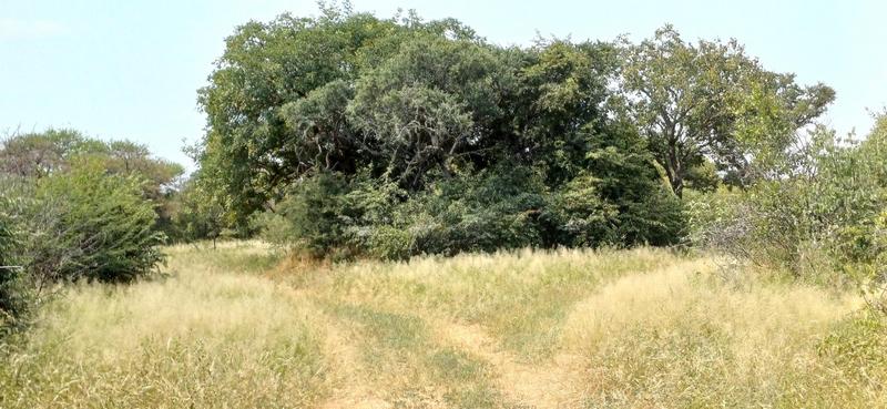 0 Bedroom Property for Sale in Baltimore Limpopo