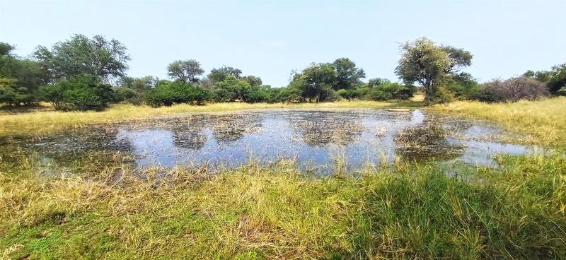 0 Bedroom Property for Sale in Baltimore Limpopo