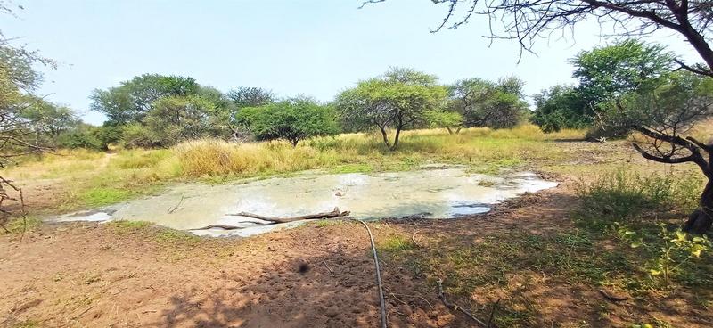 0 Bedroom Property for Sale in Baltimore Limpopo