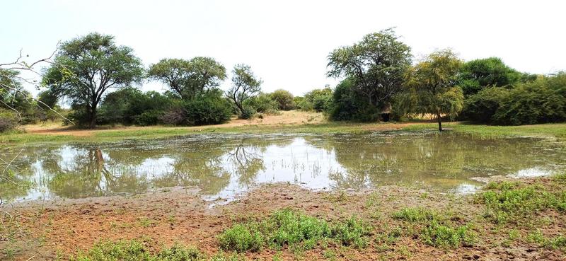 0 Bedroom Property for Sale in Baltimore Limpopo