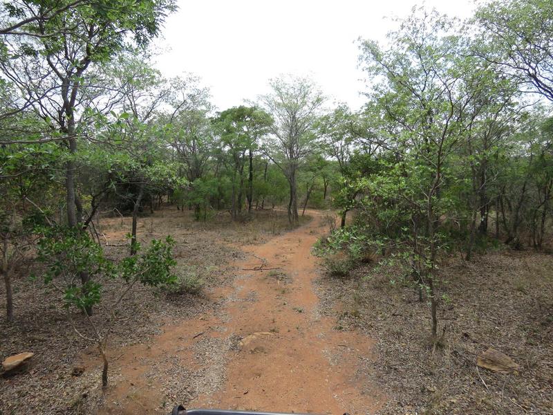 0 Bedroom Property for Sale in Vaalwater Limpopo