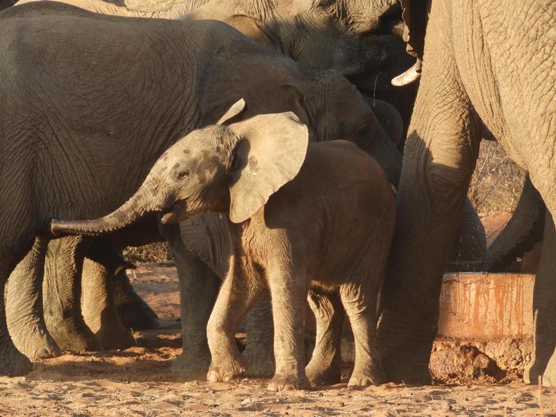 0 Bedroom Property for Sale in Lephalale Limpopo