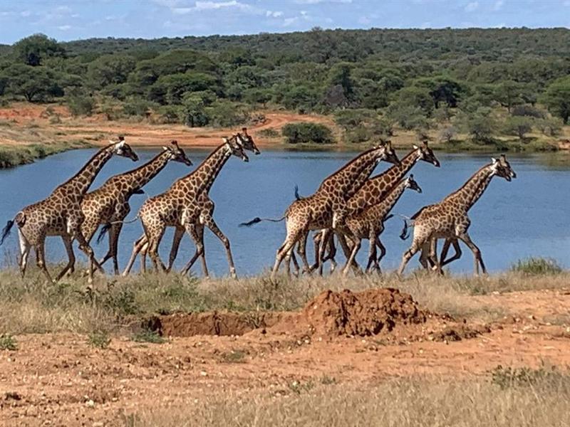 0 Bedroom Property for Sale in Lephalale Limpopo