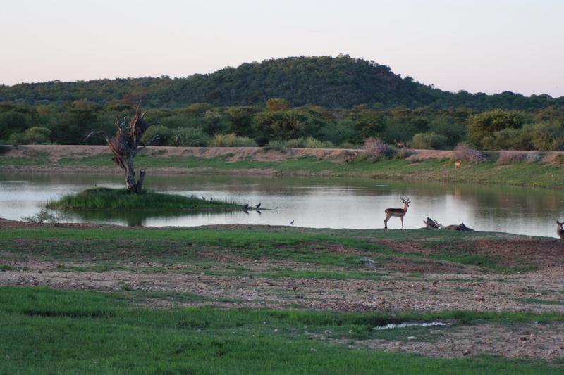 0 Bedroom Property for Sale in Lephalale Limpopo