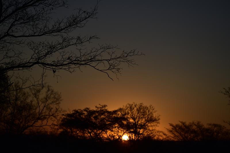 0 Bedroom Property for Sale in Lephalale Limpopo