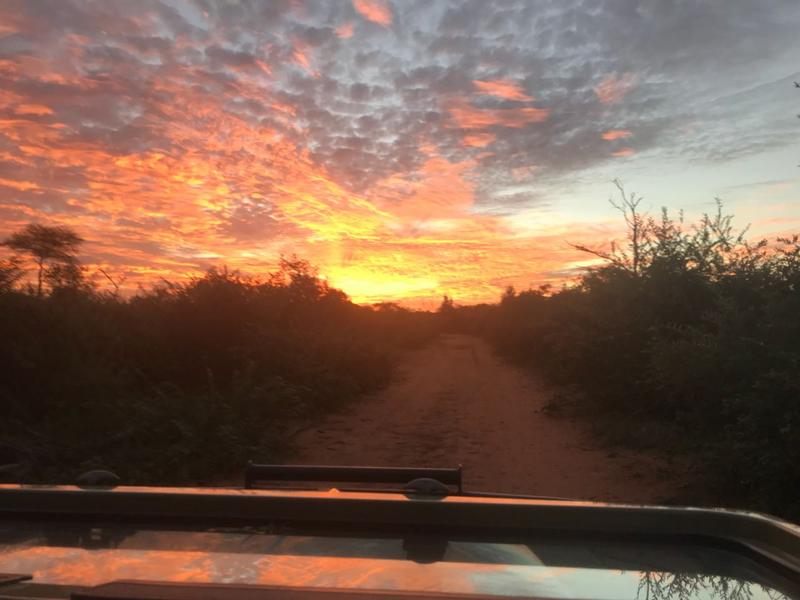 0 Bedroom Property for Sale in Lephalale Limpopo