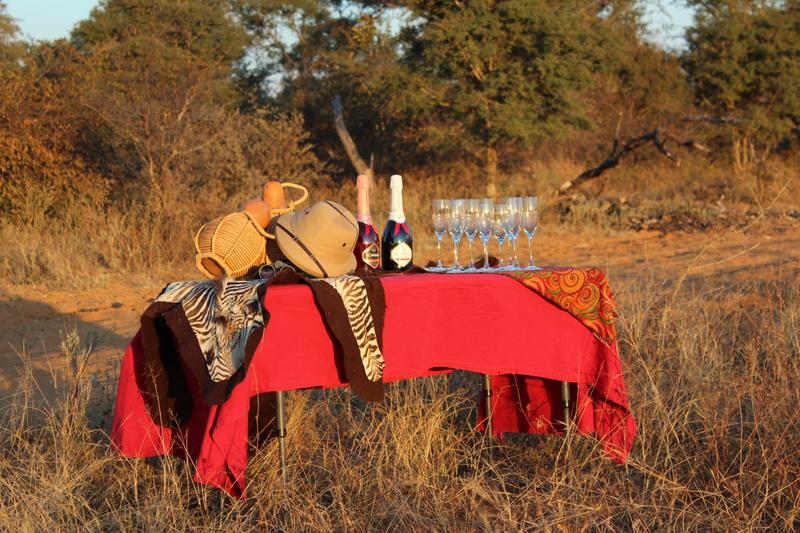 0 Bedroom Property for Sale in Lephalale Limpopo