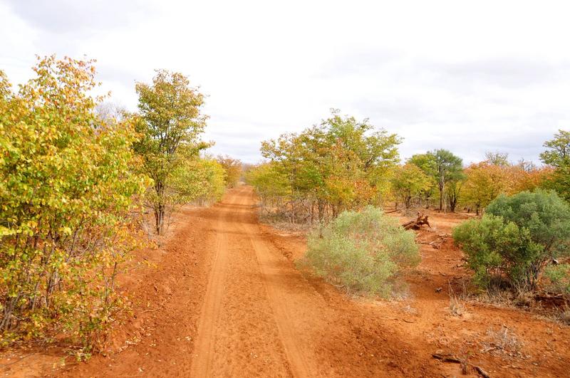 0 Bedroom Property for Sale in Lephalale Limpopo