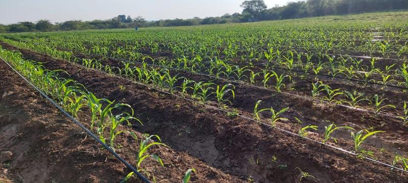 0 Bedroom Property for Sale in Mangondi Limpopo