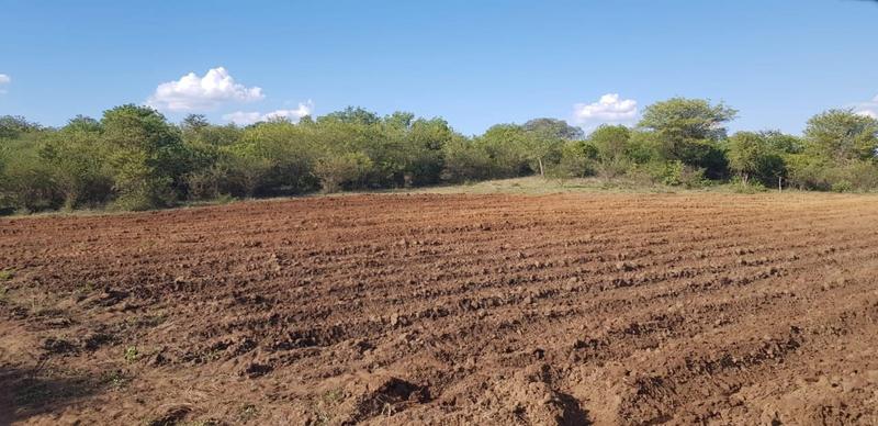 0 Bedroom Property for Sale in Mangondi Limpopo