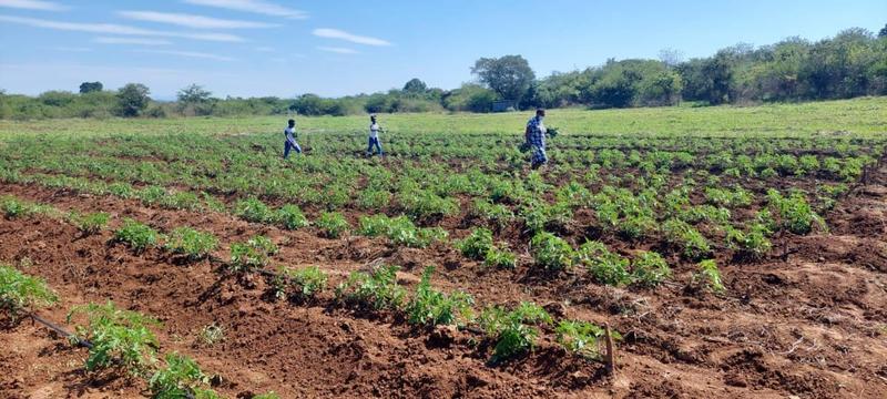 0 Bedroom Property for Sale in Mangondi Limpopo