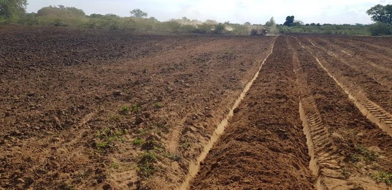 0 Bedroom Property for Sale in Mangondi Limpopo