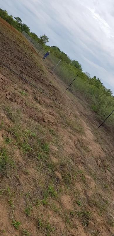 0 Bedroom Property for Sale in Mangondi Limpopo