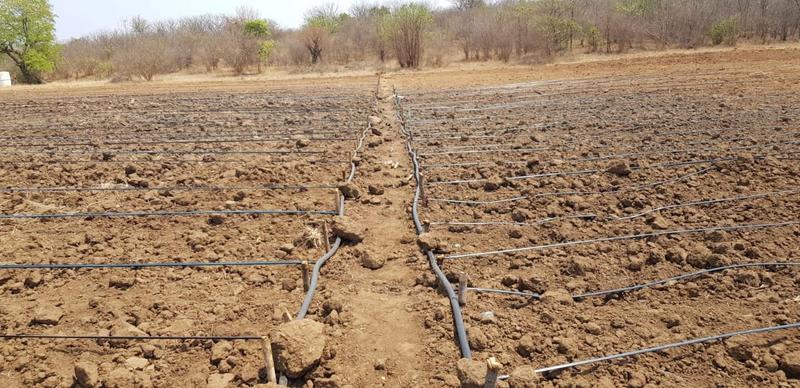 0 Bedroom Property for Sale in Mangondi Limpopo