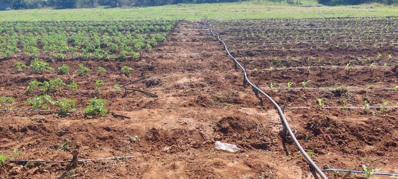 0 Bedroom Property for Sale in Mangondi Limpopo