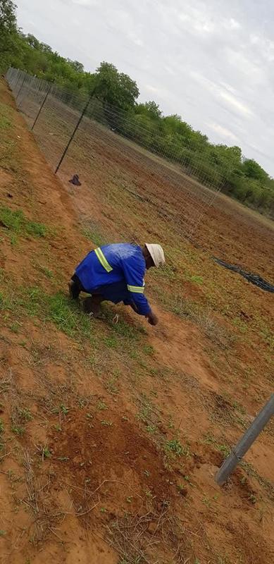 0 Bedroom Property for Sale in Mangondi Limpopo