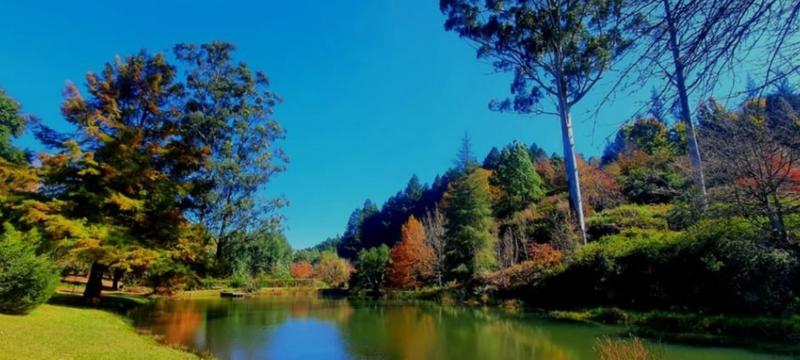 0 Bedroom Property for Sale in Tzaneen Rural Limpopo