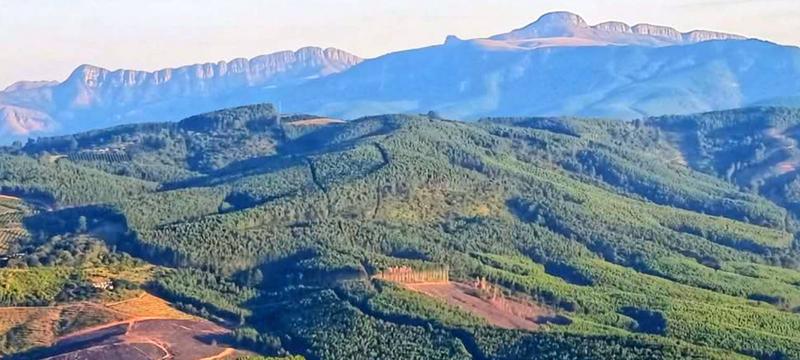 0 Bedroom Property for Sale in Tzaneen Rural Limpopo