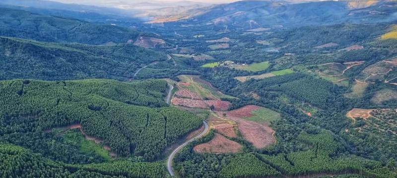 0 Bedroom Property for Sale in Tzaneen Rural Limpopo