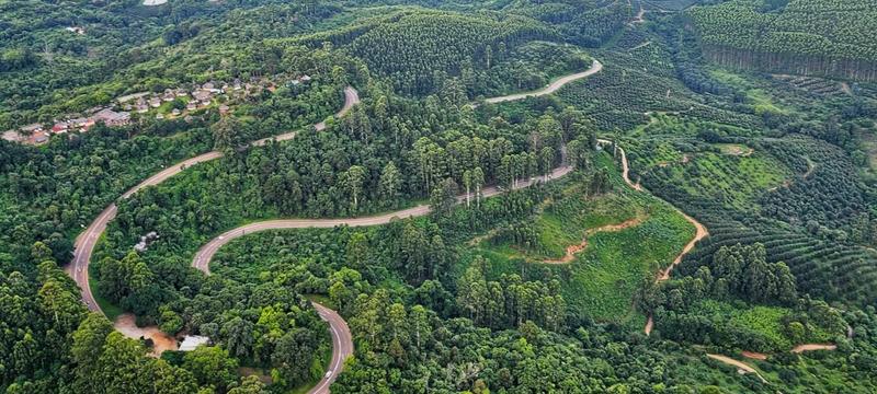 0 Bedroom Property for Sale in Tzaneen Rural Limpopo