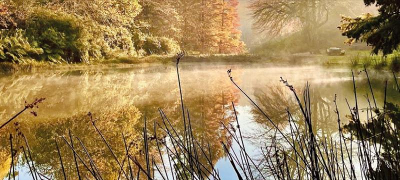 0 Bedroom Property for Sale in Tzaneen Rural Limpopo