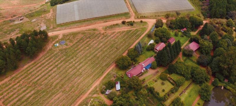 0 Bedroom Property for Sale in Tzaneen Rural Limpopo