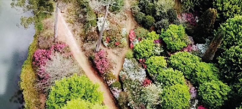 0 Bedroom Property for Sale in Tzaneen Rural Limpopo