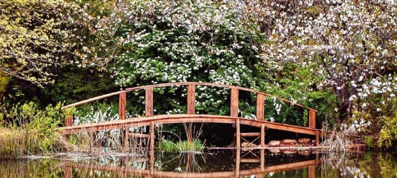 0 Bedroom Property for Sale in Tzaneen Rural Limpopo