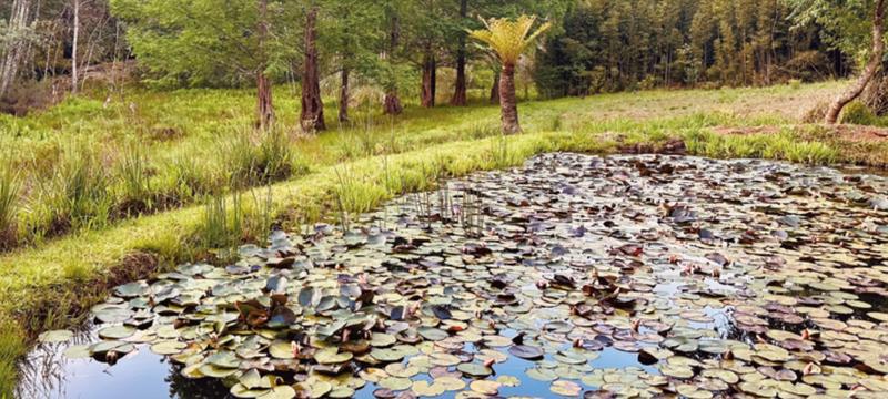 0 Bedroom Property for Sale in Tzaneen Rural Limpopo