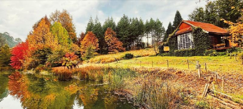 0 Bedroom Property for Sale in Tzaneen Rural Limpopo