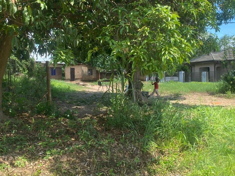 0 Bedroom Property for Sale in Shayandima Limpopo