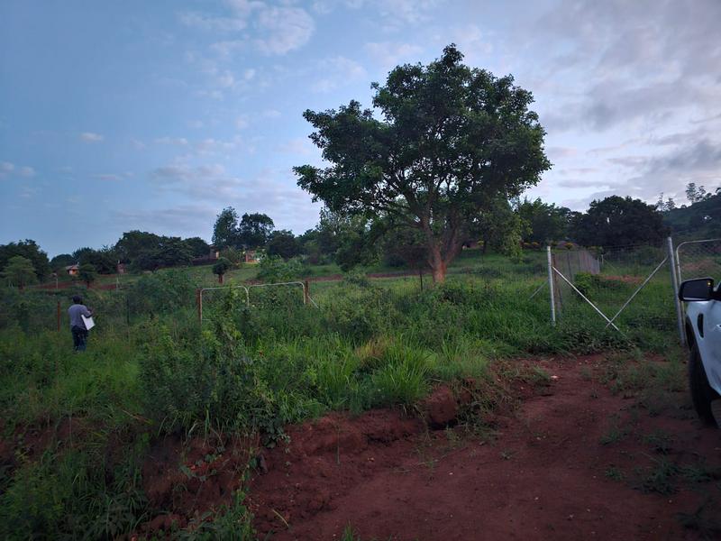 0 Bedroom Property for Sale in Elim Limpopo