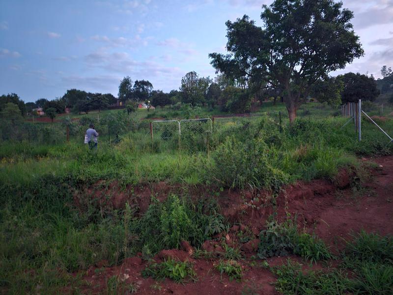 0 Bedroom Property for Sale in Elim Limpopo