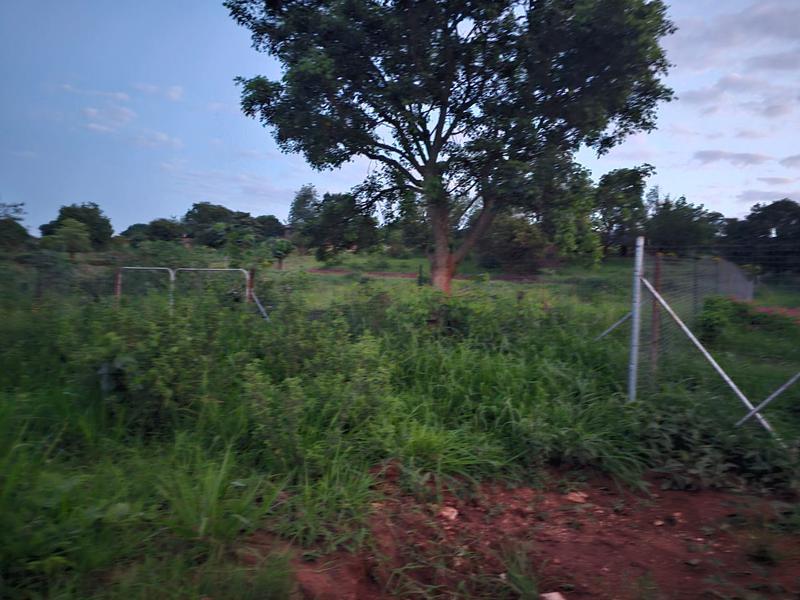 0 Bedroom Property for Sale in Elim Limpopo