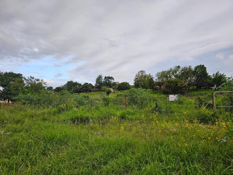 0 Bedroom Property for Sale in Elim Limpopo