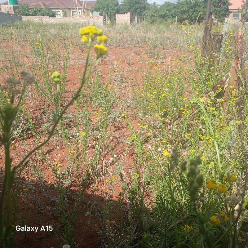 0 Bedroom Property for Sale in Mokopane Rural Limpopo