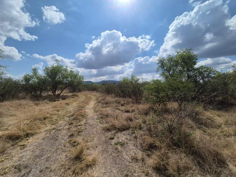 0 Bedroom Property for Sale in Thabazimbi Limpopo