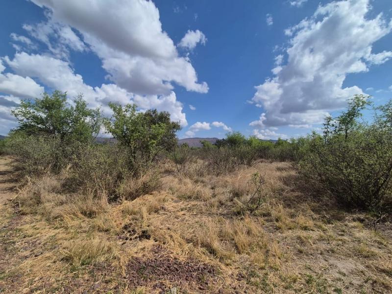 0 Bedroom Property for Sale in Thabazimbi Limpopo